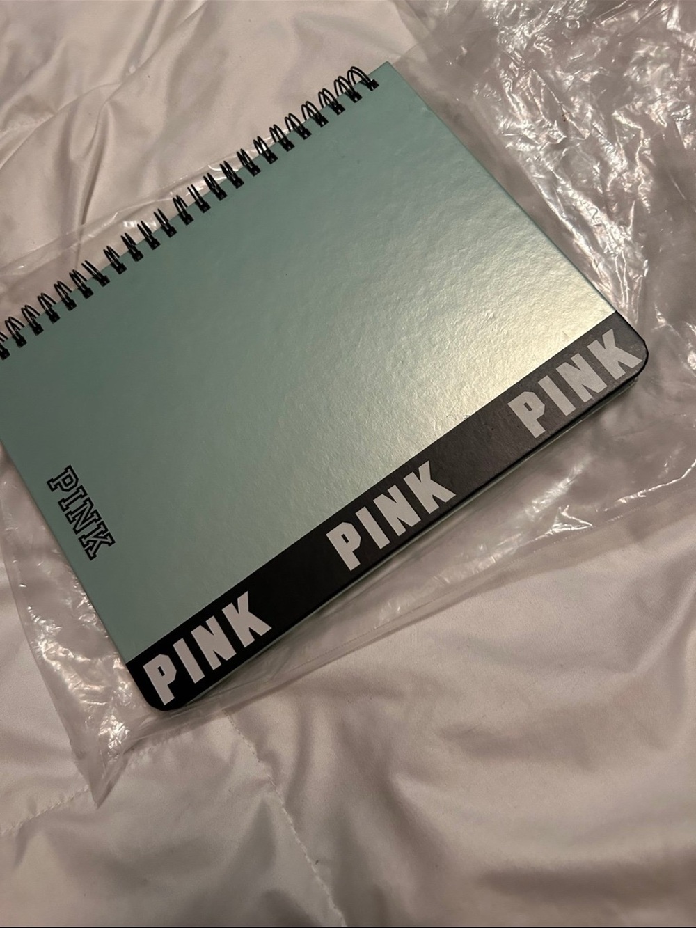 PINK Victoria's Secret Mint Green Notebook